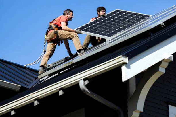 Best Roof Moss and Algae Removal  in Darlington, SC